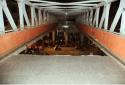 4-Killed--many-injured-as-foot-overbridge-Collapses-in-Mumba