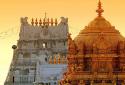 Tirupati-temple-board-plans-to-build-big-temple-in-Chennai