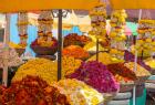 people-from-other-states-can-also-sell-flowers-in-kerala
