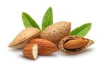 health-benifits-of-badam