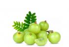 health-benifits-of-amla