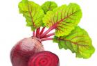 beetroot-to-prevent-cancer