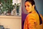 malaika-arora-recovers-from-covid-19