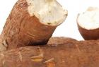 benefits-of-cassava-in-tamil