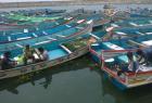 order-issued-by-the-joint-director-of-fisheries-to-ban-kerala-key-boats-from-entering-the-port-of-tenkapatnam