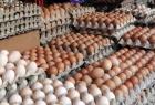egg-prices-continue-to-plummet