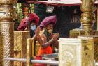 sabarimala-devotees-increased-to-5-000-from-20th-december