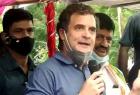rahul-gandhi-says-centre-will-be-forced-to-repeal-farm-laws