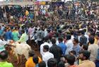 controversy-over-discrimination-in-gift-giving-at-palamedu-jallikkattu