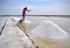 salt-production-starts-after-5-months-in-thoothukudi-district