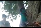 the-gang-who-tied-the-youth-to-a-tree-and-frantically-attacked-him-tearful-video