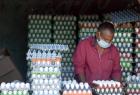 egg-prices-continue-to-rise