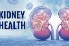 how-to-protect-the-kidneys-in-the-summer