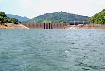 papanasam-dam-water-level-reaches-134-feet-adavinayanar-dam-water-storage-increases