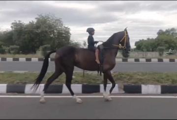 Children-who-went-to-school-on-horse-Sankar-Nagar-is-amazed