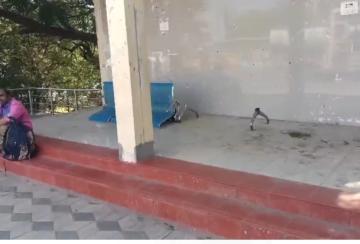 theft-in-nellai-bus-stand