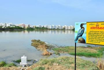 permission-for-construction-work-in-the-pallikaranai-wetland-area-social-welfare-movement-condemns