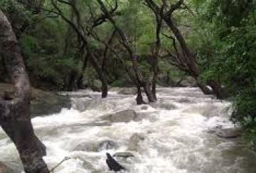 Ban-on-bathing-at-Kalakkadu-Forest-Department-announcement