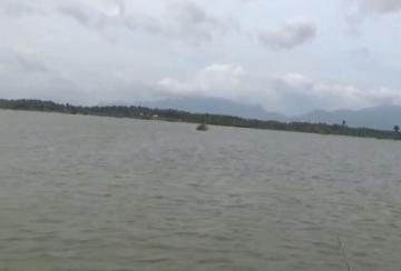 Destruction-of-trees-in-Kandykaiperi-pond-Birds-in-danger-of-suffering