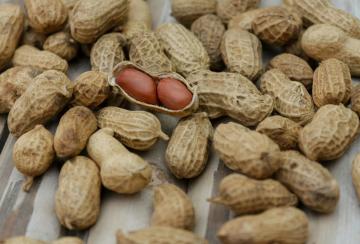 benefits-of-eating-peanuts-in-the-winter