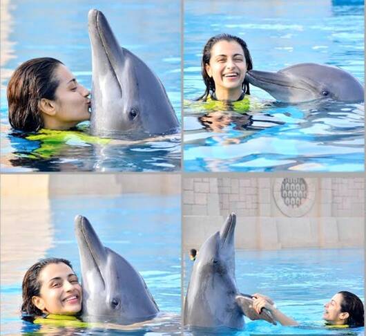 Trisha-Dolphin